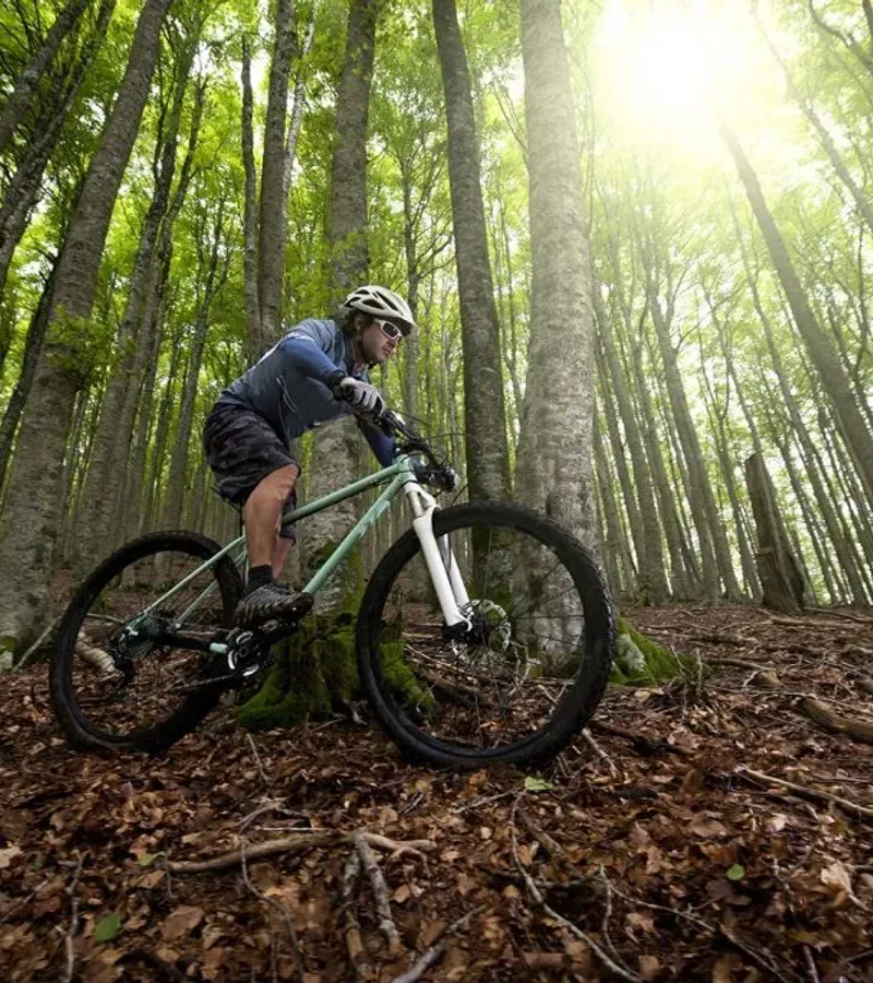 Bicicletas de Montaña